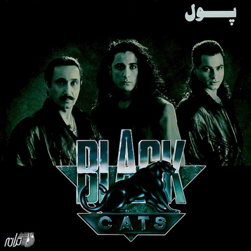 دانلود آلبوم Black Cats - Pool بلک کتس